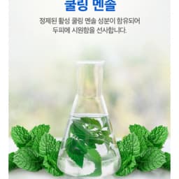 가려운/쿨멘솔 두피 케어 샴푸 520ml 2입 기획