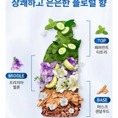 샴푸 520ml 2입 기획 4종