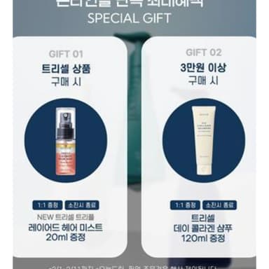 안티 댄드러프 샴푸 오션 브리즈 증정