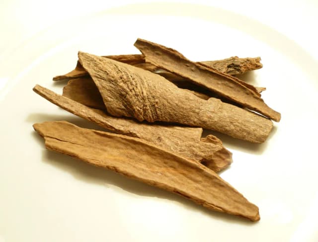 CINNAMOMUM LOUREIROI BARK EXTRACT Photo