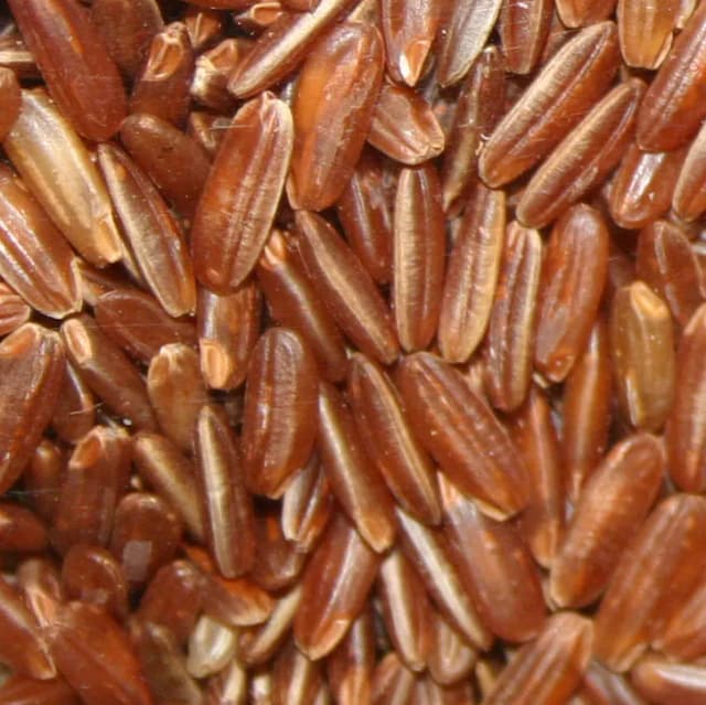 BROWN RICE VINEGAR EXTRACT 대표 사진