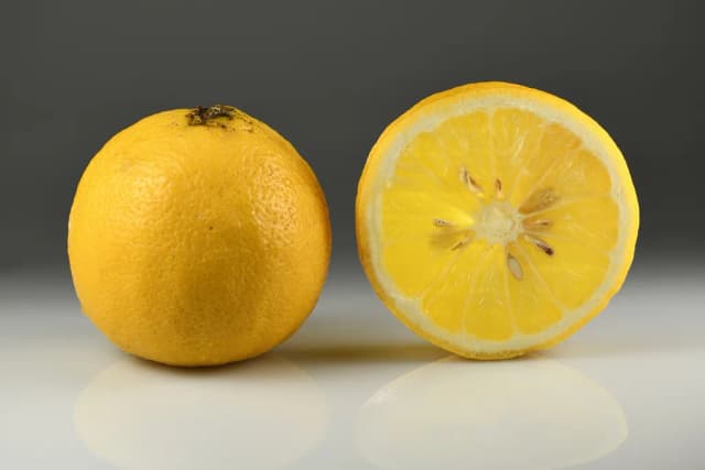 CITRUS BERGAMIA MELAROSA LEAF OIL 대표 사진