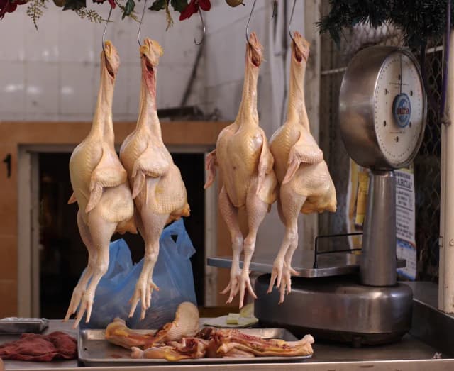 CHICKEN LEG EXTRACT 대표 사진