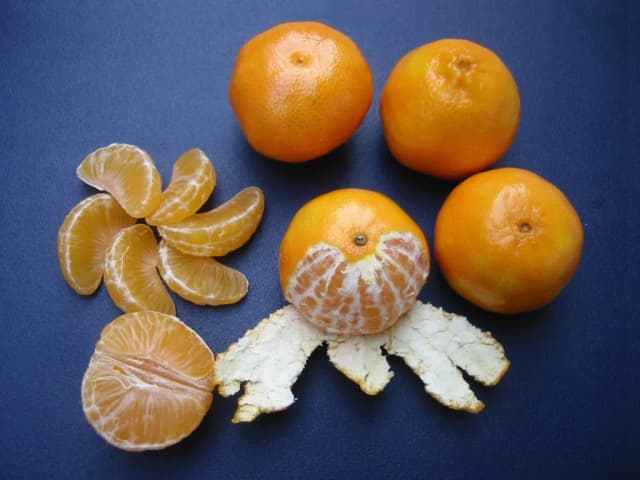 CITRUS CLEMENTINA JUICE 대표 사진