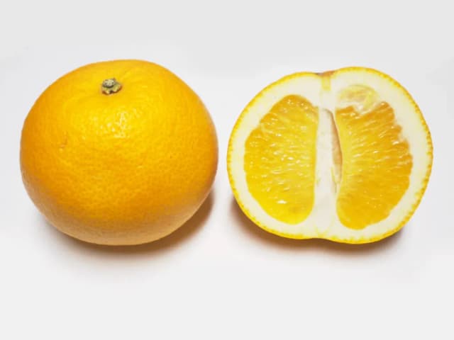 CITRUS HASSAKU FRUIT EXTRACT 대표 사진