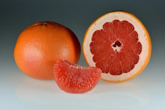 CITRUS PARADISI FRUIT VESICLES 대표 사진