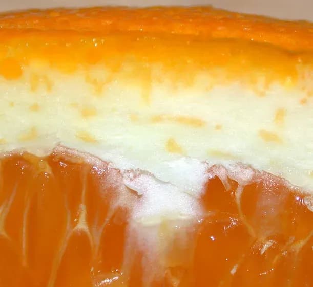 CITRUS PEEL FIBER 대표 사진