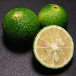 CITRUS SUDACHI PEEL EXTRACT 대표 사진