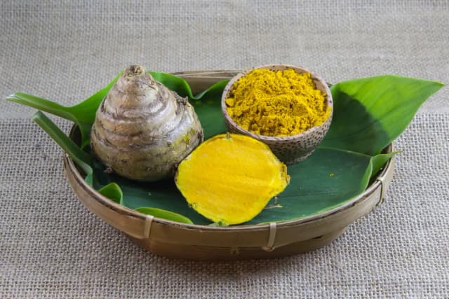 CURCUMA XANTHORRHIZA ROOT EXTRACT 대표 사진