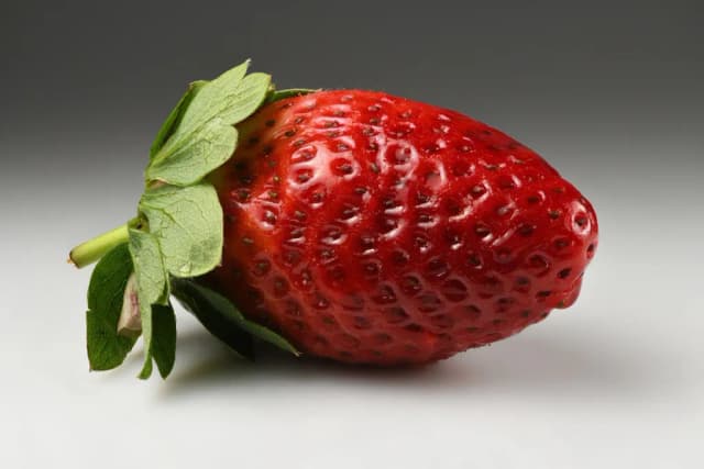 FRAGARIA ANANASSA FRUIT WATER EXTRACT 대표 사진