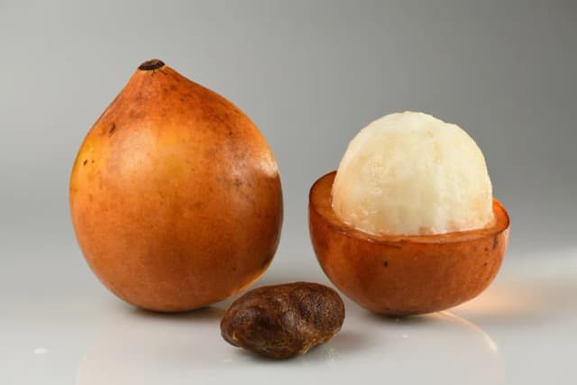 GARCINIA HUMILIS FRUIT/PEEL/SEED POWDER 대표 사진