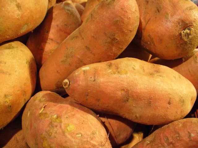 IPOMOEA BATATAS ROOT POWDER 대표 사진