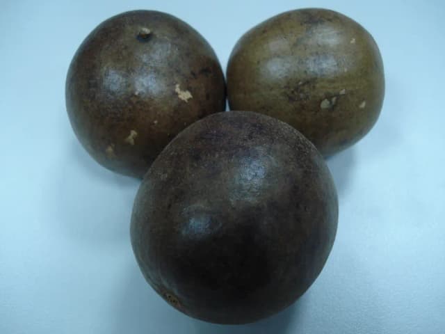 MOMORDICA GROSVENORII FRUIT EXTRACT 대표 사진