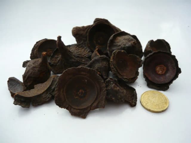 OCOTEA QUIXOS LEAF OIL 대표 사진