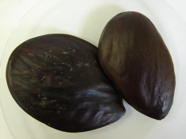 PENTACLETHRA MACROPHYLLA SEED OIL 대표 사진