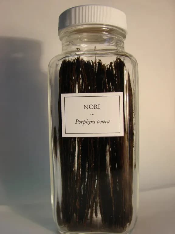 PORPHYRA TENERA SPOROPHYTE EXTRACT 대표 사진