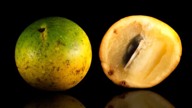 POUTERIA CAIMITO FRUIT EXTRACT 대표 사진