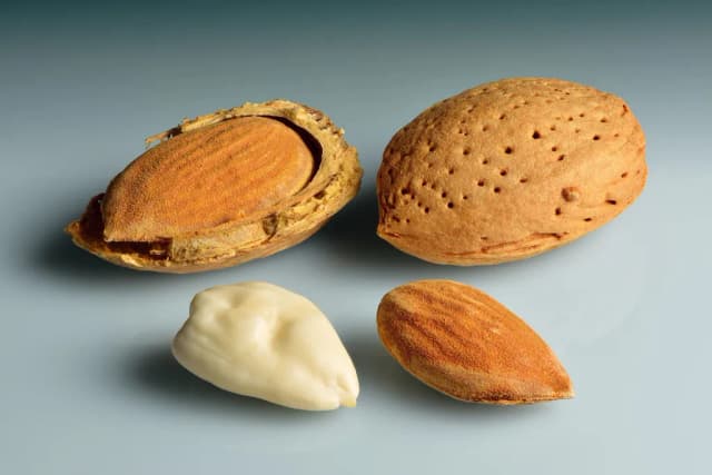 PRUNUS AMYGDALUS DULCIS HULL EXTRACT 대표 사진