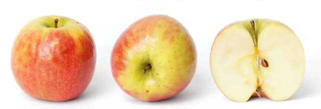 PYRUS MALUS PEEL CERA 대표 사진