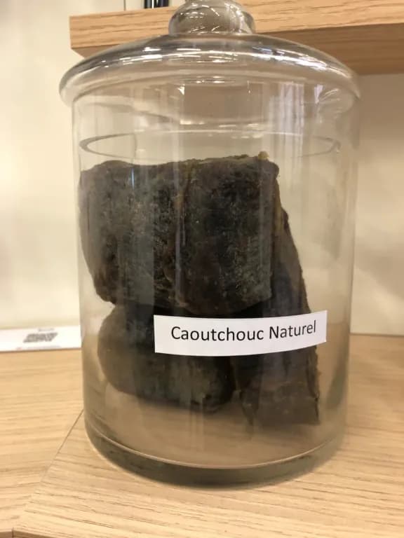 RUBBER LATEX EXTRACT 대표 사진