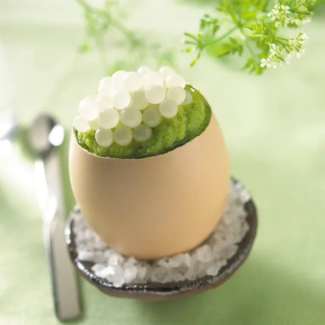 SNAIL EGG EXTRACT 대표 사진