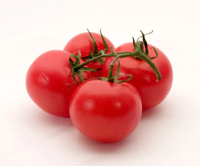 SOLANUM LYCOPERSICUM FLOWER EXTRACT 대표 사진