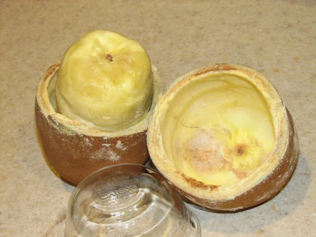 THEOBROMA GRANDIFLORUM SEED POWDER 대표 사진