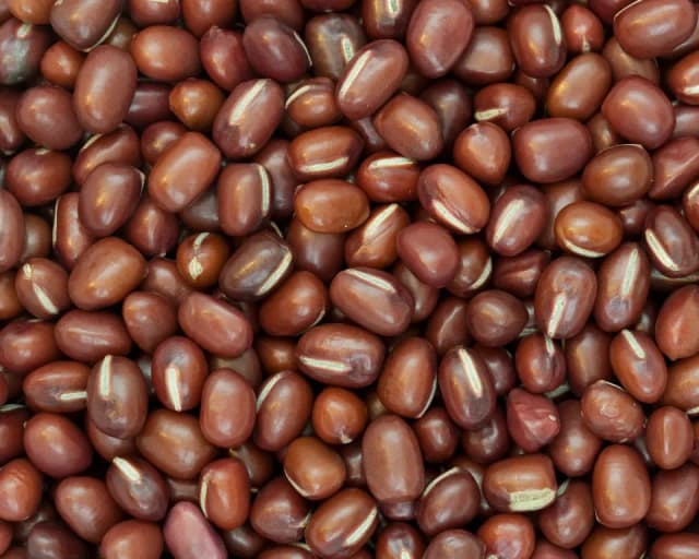 VIGNA ANGULARIS SEEDCOAT EXTRACT 대표 사진