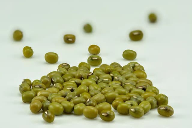 VIGNA RADIATA SPROUT JUICE EXTRACT 대표 사진