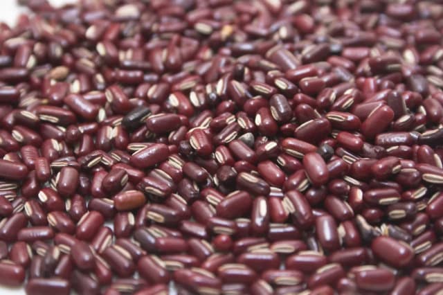 VIGNA UMBELLATA SEED EXTRACT 대표 사진