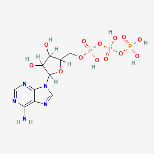 PHYCOERYTHRIN 분자 구조