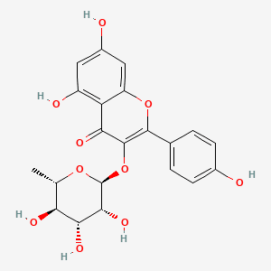 KAEMPFEROL RHAMNOSIDE 분자 구조