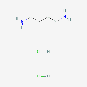 PUTRESCINE HCL 분자 구조