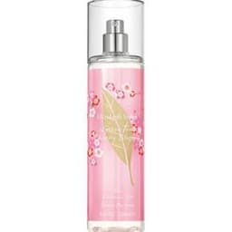 체리블러썸 바디미스트 236ml