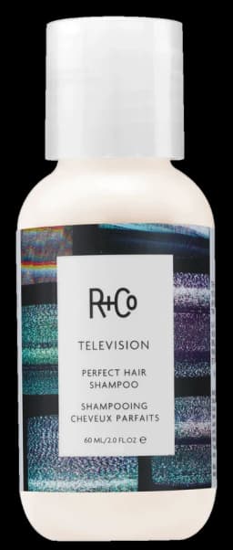R+Co TELEVISION Perfect Hair Shampoo - Mini
