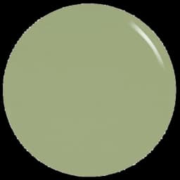 ORLY Artist's Garden 11mL
