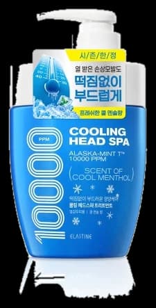 쿨링 헤드 스파 10000 단백질 클리닉 트리트먼트 쿨멘솔향