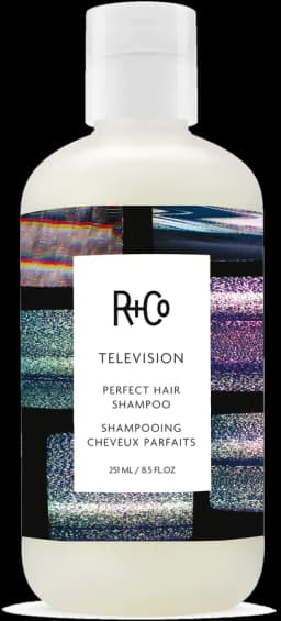 R+Co TELEVISION Perfect Hair Shampoo