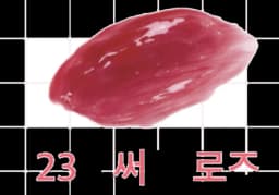 NAMSAN480 GLOW TINT 230 Summit Rose