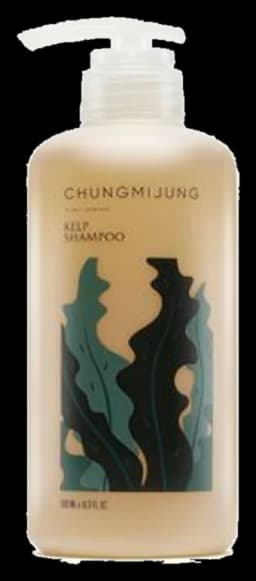 다시마 샴푸 500ml