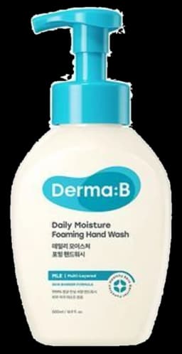 데일리 모이스처 포밍 핸드워시 500ml