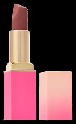 Juvia's Place The Mini Nudes Velvety Matte Lipstick