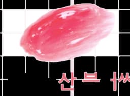 NAMSAN480 GLOW TINT 110 Namsan Blossom