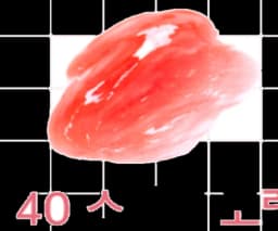 NAMSAN480 GLOW TINT 240 Sky Coral
