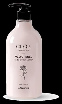 CLOA 벨벳 로즈 핸드 앤 바디 로션