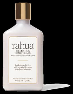 Rahua Hydration Conditioner