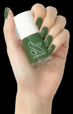 Olive & June Geometry