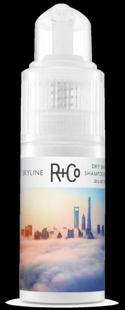 R+Co SKYLINE Dry Shampoo Powder