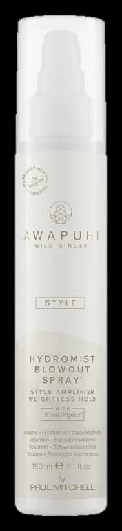 Paul Mitchell HydroMist Blowout Spray