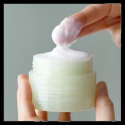 텐제로 클리어 핏 어성초 크림